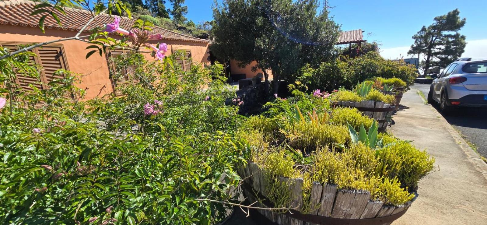 Vivienda Vacacional El Lagar, Bodega A Fuencaliente de la Palma Exterior foto
