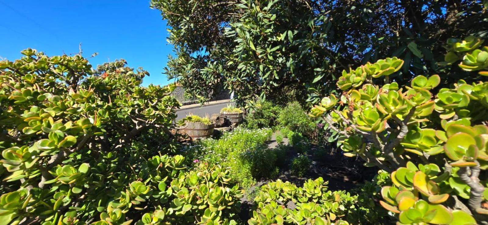 Vivienda Vacacional El Lagar, Bodega A Fuencaliente de la Palma Exterior foto